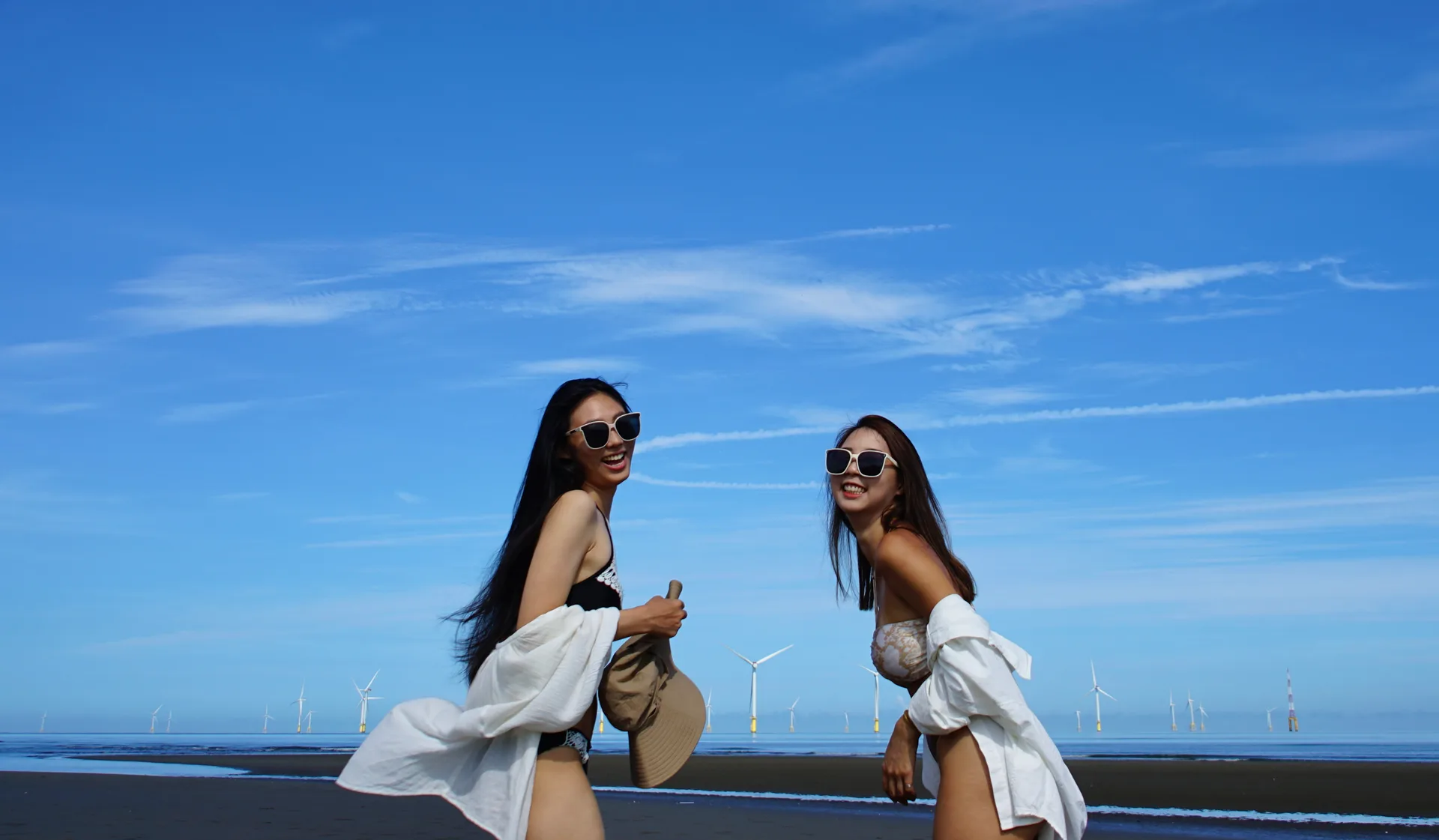 帳篷內望向森林的露營場景